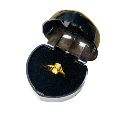 CINCIN FESYEN 2C